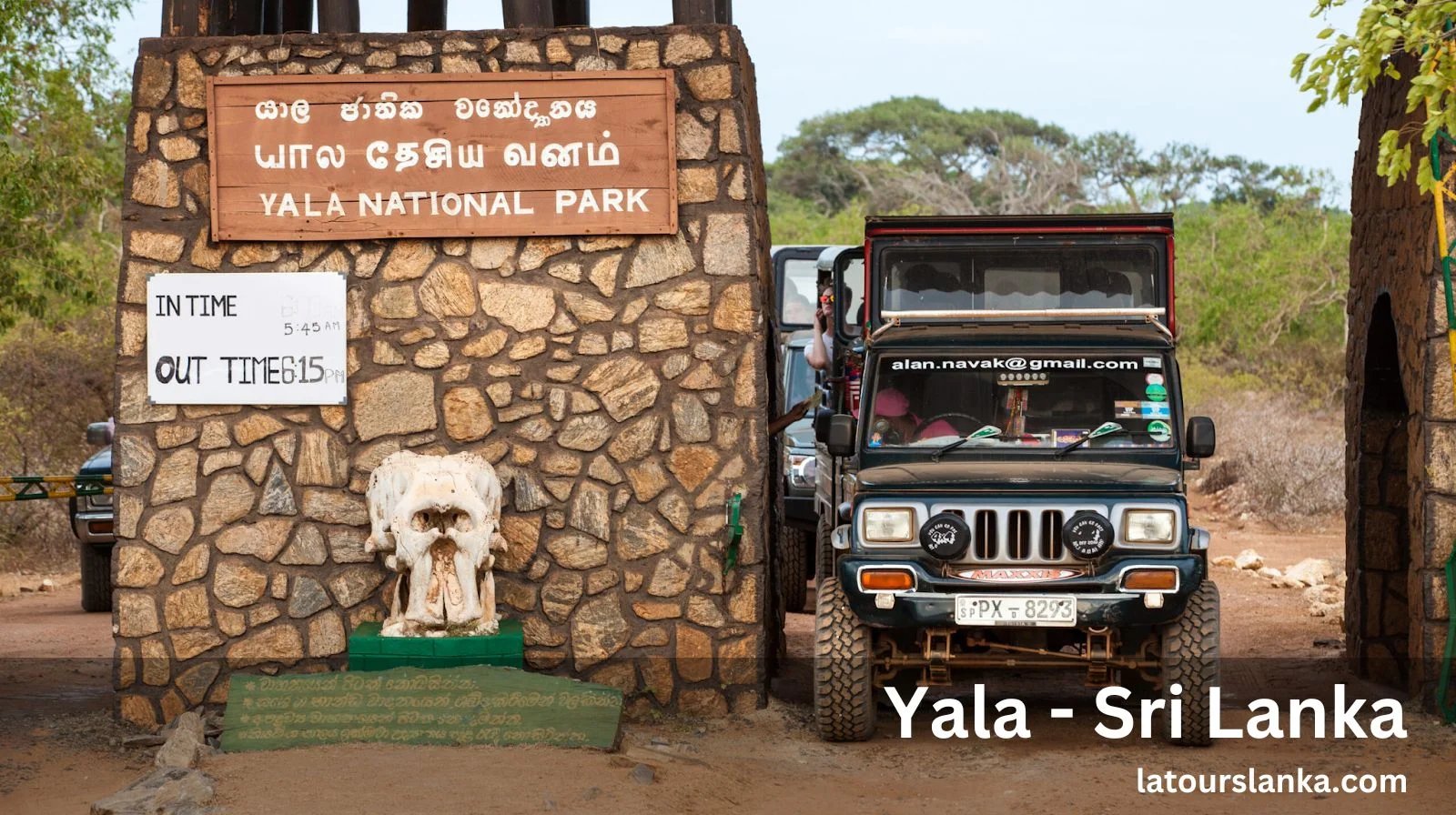 Welcome to the Wild Side of Sri Lanka - Join Us to Explore Yala Today!